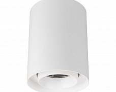 Светильник SP-FOCUS-R110-18W Day4000 (WH, 15 deg, 230V) (Arlight, IP54 Металл, 5 лет)