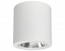 Светильник SP-FOCUS-R140-30W White (Arlight, IP20 Металл, 3 года)