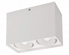Светильник SP-CUBUS-S100x200WH-2x11W Warm White 40deg (Arlight, IP20 Металл, 3 года)