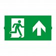 Пиктограмма EMGP-DIRECT-UP (Вверх) (Arlight, Пластик)