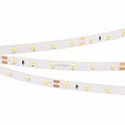 Светодиодная лента RT 2-5000 24V Cool 8K (3528, 300 LED, LUX) (Arlight, 4.8 Вт/м, IP20)