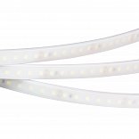 Светодиодная лента RTW 2-5000PW 24V White6000 2x (3528, 600 LED, LUX) (Arlight, 9.6 Вт/м, IP66)