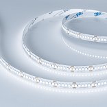 Светодиодная лента RT-A240-10mm 24V White6000 (19.2 W/m, IP20, 3528, 5m) (Arlight, Открытый)