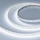 Светодиодная лента RT-A140-10mm 24V White6000 SUN (20 W/m, IP20, 2835, 5m) (Arlight, -)