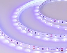 Светодиодная лента RT-A60-8mm 12V UV400 (4.8 W/m, IP20, 2835, 5m) (Arlight, Открытый)
