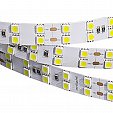 Светодиодная лента RT 2-5000 36V Warm 2x2 (5060, 600 LED, LUX) (Arlight, 26 Вт/м, IP20)