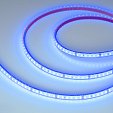 Светодиодная лента герметичная RTW-PFS-A120-11mm 24V Blue (9.6 W/m, IP68, 2835, 5m) (Arlight, -)