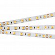 Светодиодная лента CC-5000 3A White 2X (5060, 300 LED, EXP) (Arlight, 12 Вт/м, IP20)