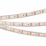 LED светодиодная лента rtw 2-5000pgs 12v warm 2x (3528, 600 led, lux) (arlight, 9.6 вт/м, ip67)