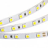 Светодиодная лента RT 2-5000 36V White 2X (5060, 300 LED, LUX) (Arlight, Открытый)