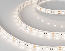 Светодиодная лента герметичная RTW-SE-B60-10mm 12V Day4000 (14.4 W/m, IP65, 5060, 5m) (Arlight, 14.4 Вт/м, IP65)