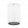 Светильник LGD-FORMA-SURFACE-R90-12W Day4000 (WH, 44 deg, 230V) (Arlight, IP54 Металл, 3 года)