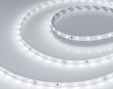 Светодиодная лента RT-A60-8mm 24V White6000 (4.8 W/m, IP20, 2835, 5m) (Arlight, Открытый)