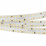 Светодиодная лента S2-2500 24V White 5500K 15mm (2835, 280 LED/m, LUX) (Arlight, 20 Вт/м, IP20)