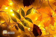 Обзор гирлянд Ardecoled