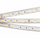 Светодиодная лента RTW 2-5000P 24V White6000 2x (5060, 300 LED, LUX) (Arlight, 14.4 Вт/м, IP66)