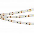 Светодиодная лента RT 2-5000 12V White5500 2x (3528, 600 LED, LUX) (Arlight, 9.6 Вт/м, IP20)
