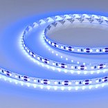 Светодиодная лента RT-A120-8mm 12V Blue (9.6 W/m, IP20, 2835, 5m) (Arlight, 9.6 Вт/м, IP20)