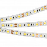 Светодиодная лента RT2-5050-60-12V White (300 LED) (NormaLED, 14.4 Вт/м, IP20)