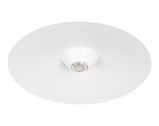 Светильник MAG-MICROCOSM-DISCO-R300-7W Day4000 (WH, 36 deg, 24V) (Arlight, IP20 Металл, 5 лет)