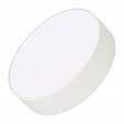 Светильник SP-RONDO-R210-20W Day4000 (WH, 120 deg, 230V) (Arlight, IP40 Металл, 3 года)