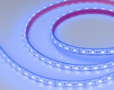 Светодиодная лента герметичная RTW-PFS-B60-13mm 12V Blue (14.4 W/m, IP68, 5060, 5m) (Arlight, 14.4 Вт/м, IP68)