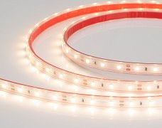 Светодиодная лента герметичная RTW-PS-A60-10mm 12V Warm3000 (4.8 W/m, IP67, 2835, 5m) (Arlight, 4.8 Вт/м, IP67)