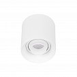 Светильник SP-ACENTO-R95-10W Day4000 (WH, 20-45 deg, 230V) (Arlight, IP20 Металл, 5 лет)