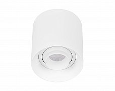 Светильник SP-ACENTO-R95-10W Day4000 (WH, 20-45 deg, 230V) (Arlight, IP20 Металл, 5 лет)