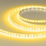 Светодиодная лента RT-A120-8mm 12V Yellow (9.6 W/m, IP20, 2835, 5m) (Arlight, 9.6 Вт/м, IP20)