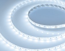 Светодиодная лента герметичная RTW-SE-B60-10mm 24V Cool 8K (14.4 W/m, IP65, 5060, 5m) (Arlight, 14.4 Вт/м, IP65)
