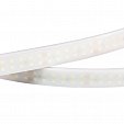 Светодиодная лента RTW 2-5000PW 24V Day4000 2x2 (3528, 1200 LED, LUX) (Arlight, 19.2 Вт/м, IP66)