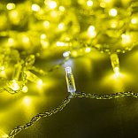 Светодиодная гирлянда ARD-STRING-CLASSIC-10000-CLEAR-100LED-FLASH Gold (230V, 7W) (Ardecoled, IP65)