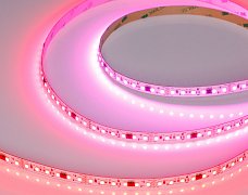 Светодиодная лента SPI-A120-10mm 24V RGB-PX6-BPT (23 W/m, IP20, 2835, 5m) (Arlight, бегущий огонь)