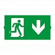 Пиктограмма EMGP-DIRECT-DOWN (Вниз) (Arlight, Пластик)