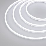 Образец Гибкий неон GALAXY-1206-5000CFS-2835-100 12V White 0.5M (12x6mm, 12W, IP67) (Arlight, 12 Вт/м, IP67)