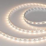 Светодиодная лента RT-B60-10mm 12V Warm3000 (14.4 W/m, IP20, 5m) (Arlight, 14.4 Вт/м, IP20)