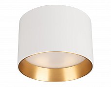 Светильник SP-BISCOTTO-R120-12W Warm3300-MIX (WH-GD, 80 deg, 230V) (Arlight, IP54 Металл, 5 лет)
