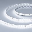 Светодиодная лента герметичная RTW-SE-A140-8mm 24V White6000 (5 W/m, IP65, 5m) (Arlight, -)
