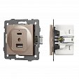 Механизм USB розетки SCT-MUAC-PL-GD-V (5V, 3A, QC4) (Arlight, -)
