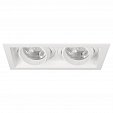 Светильник MS-VORTEX-BUILT-S250x140-2x30W Day4000 (WH-WH, 30 deg, 230V) (Arlight, IP20 Металл, 5 лет)
