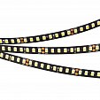 Светодиодная лента RT-5000-2835-160-24V Day4000 (Black 8mm, 12W/m, IP20) (Arlight, -)