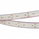 Светодиодная лента RTW 2-5000P 24V White6000 2x2 (3528, 1200 LED, LUX) (Arlight, 19.2 Вт/м, IP66)