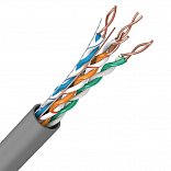 Образец Кабель ARL-UTP-PRO-4PR-24AWG-CAT5e-CU (2m) (Arlight, -)