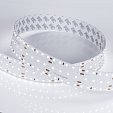 Светодиодная лента S2-A280-34mm 24V White6000 (25 W/m, IP20, 2835, 2.5m) (Arlight, 25 Вт/м, IP20)
