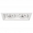 Светильник MS-VORTEX-BUILT-S250x140-2x30W Day4000 (WH-WH, 17 deg, 230V) (Arlight, IP20 Металл, 5 лет)