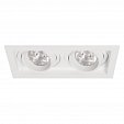 Светильник MS-VORTEX-BUILT-S210x117-2x20W Day4000 (WH-WH, 20 deg, 230V) (Arlight, IP20 Металл, 5 лет)